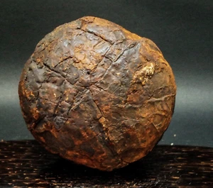 1420Gr Natural Septarium Dragon's Stone Septarian Crystal Rough Mineral Specimen - Picture 1 of 13