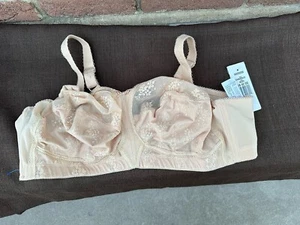 Goddess Comfort Soft Cup Wire Free Plus Size Seamed Nude Bra 42DD - Picture 1 of 11