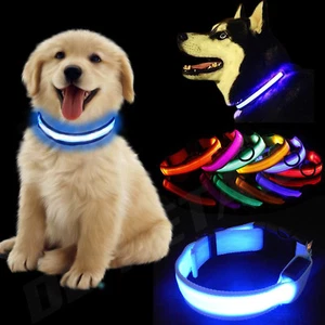 USB Rechargable LED Dog Pet Collar Flashing Luminous Safety Light Up Nylon UK - Imagen 1 de 18