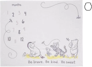 Disney Classic Winnie The Pooh Super Soft Milestone Baby Blanket 40x50 - Picture 1 of 6
