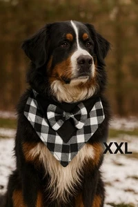 Luxus XXL Büffel Karo Hunde Bandana mit Fliege - Handarbeit Winter Style - Bild 1 von 3
