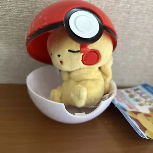 Pokemon Center 2019 Petit Plüschtier im Sack Puppe Balletui Vol.3: Schlafendes Pikachu - Bild 1 von 2