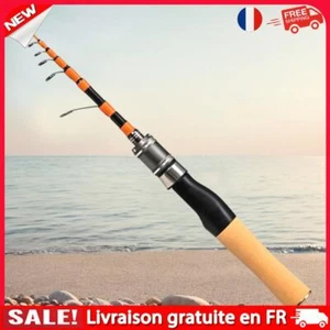 Fishing Rod Telescopic Travel Fishing Pole Fishing Accessories for Carp Fishing - Photo 1/10