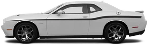 Yellow Jacket Beltline Vinyl Graphic Decal Stripe for Dodge Challenger 2015 & Up - Bild 1 von 1