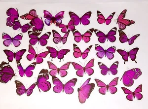 40 transparente Schmetterling Sticker Aufkleber Stickerbomb DIY Basteln Deko (X3 - Bild 1 von 2