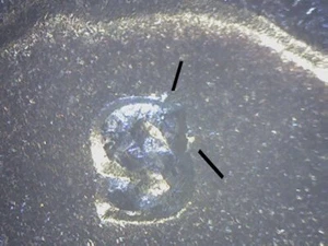 1952-S WASHINGTON QUARTER  RPM #3 NORTHEAST GEM  WWW - Picture 1 of 5