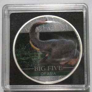 *CINA 10 YUAN COLORATA 2023 ELEFANTE - Picture 1 of 2