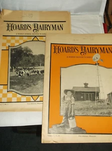Vintage Hoard's Dairyman Journal devoted to Dairy Farmers Vol 71#20 9/11/26 2/26 - Picture 1 of 5
