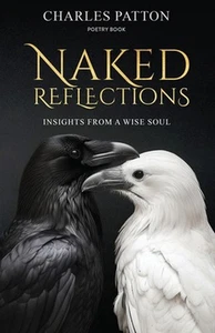 Naked Reflections: Insights from a Wise Soul by Book Design Company Paperback Bo - Picture 1 of 1