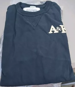 Suéter Abercrombie & Fitch Xtra Grande Azul Músculo Para Hombre Manga Larga Talla XL - Imagen 1 de 10