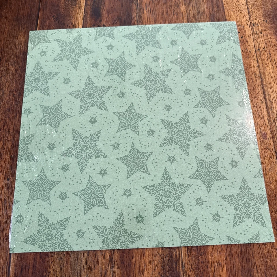 Stampin up Dashing Along DESIGNER Series Paper 12x12 Christmas Holiday DSP