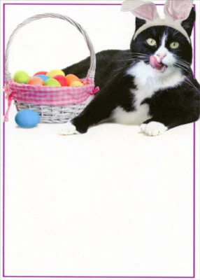 Tarjeta de Pascua No Easter Bunny Funny Cat Foto 1 de 2