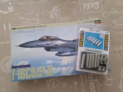 F-16C Fighting Falcon Block 30 Hasegawa 1/48 + Extra Resin Bombs Eduard As New!! - Immagine 1 di 4