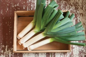 50+ Leek Seeds for Planting Great for Salads and Garnish - Picture 1 of 4
