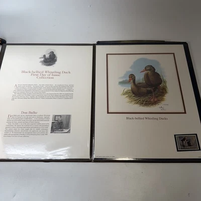 1990 Black-Bellied Whistling Duck Stamp Collector's Art Panel Signed  MNH - Image 1 of 4