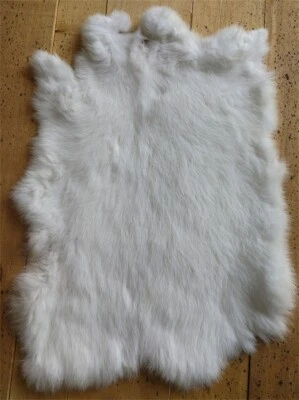 3x Piel de conejo real blanca de alta calidad piel de conejo para mascotas ropa bolsa zapatos Foto 1 de 4