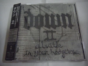 DOWN-Ⅱ2 JAPAN 1st.Press w/OBI Pantera Metallica Slayer AC/DC Iron Maiden - Picture 1 of 8