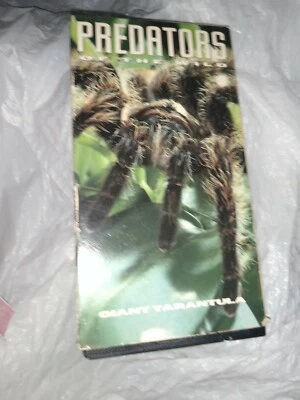  FAST 2 DAY SHIPPING🇺🇸 Predators Of The Wild : Giant Tarantula (VHS) 1993 - Image 1 of 2