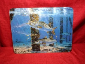 Tagliere decorativo in vetro sott'acqua tema fauna selvatica pesce circa 12 x 16" - Foto 1 di 6