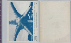 UO33 Hi-Speed Gasoline Victory Club War, 1940's, #28 Aerial Octopus - Picture 1 of 1