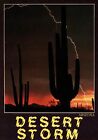 Desert Storm Night Lightning Saguaro Cactus Arizona Vintage Postcard Unposted