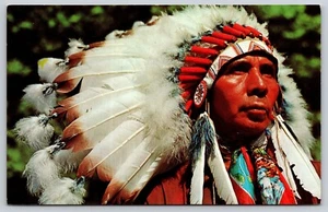 Postcard Indian Chief - Picture 1 of 2