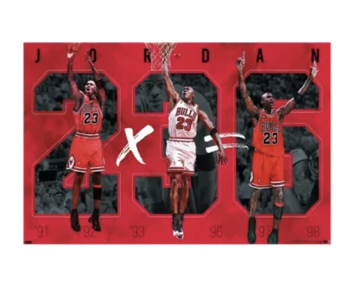MICHAEL JORDAN - SIX CHAMPIONSHIPS POSTER - 22x34 - 21930 Jumpman. MJ Cover