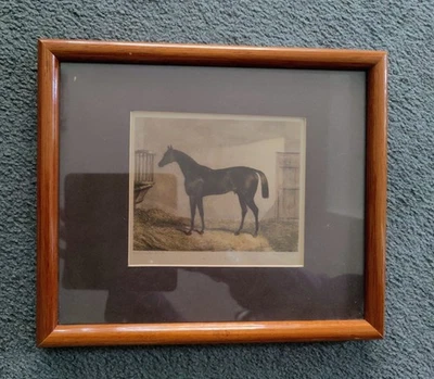 Antiker handcolorierter Stich von 1885 -Pferdemotiv - edler Mahagonirahmen - Bild 1 von 4