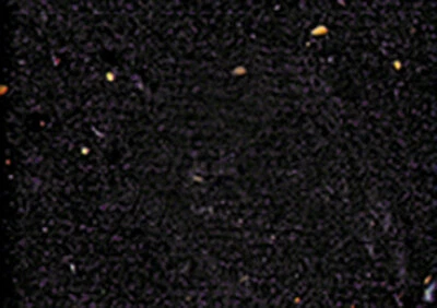 Cinelli Gel Ribbon Handlebar Tape - Black - Image 1 of 2