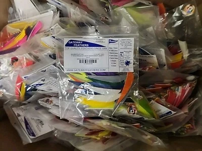 Archery Fletchings Variety Pack - 3" RW Parabolic Solid Colors,  50+ Pcs - Image 1 of 3