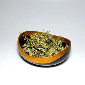 Schafgarbe - Achillea Millefolium - Wildcrafted - Bild 1 von 1