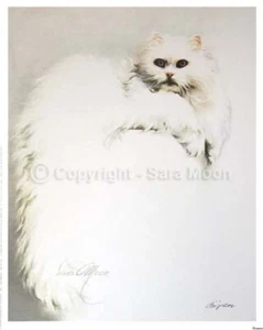 SARA MOON White Persian Cat  16”x20” Personally Signed Original Archive Print - Picture 1 of 3