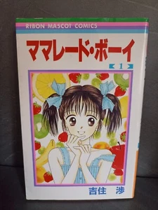 MARMALADE BOY Sleeve #1 Japanese Language Small Heart Problems Ribon - Picture 1 of 5