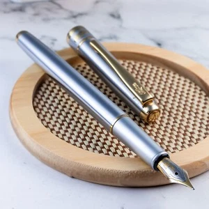 Crocodile Stainless Steel 22K GP Nib Fountain Pen - Imagen 1 de 6