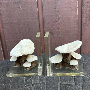 70s Real Coral Mushroom & Driftwood Psychedelic Magic Mushroom Lucite Bookends - Picture 1 of 5