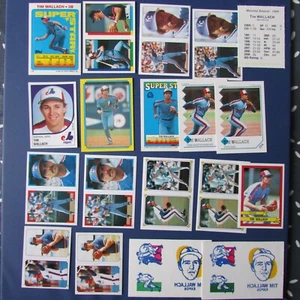 TIM WALLACH ( 19 DIFF ) STICKERS O-PEE-CHEE TOPPS 1984 TO 1990 EXPOS - Picture 1 of 7
