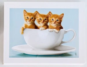 AMERICAN GREETINGS 3 Cats in A Cup 16 Note Cards & 16 Envelopes - Picture 1 of 5