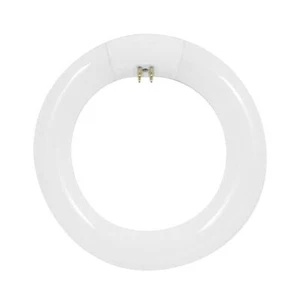 Feit Electric FC8T9/CW Cool White 120V 1100 lm. T9 Circular Fluorescent Bulb 22W - Picture 1 of 4