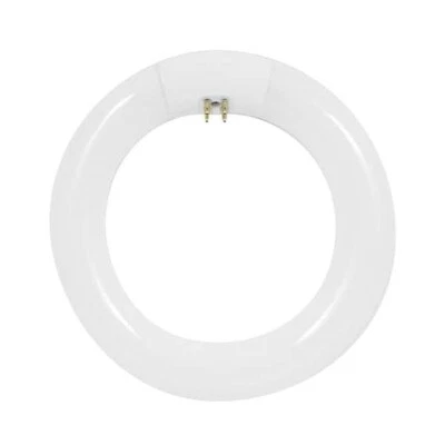 Feit Electric FC8T9/CW Cool White 120V 1100 lm. T9 Circular Fluorescent Bulb 22W