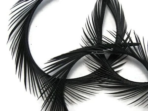 50 Pcs GOOSE BIOT Feathers 2-5" BLACK; Craft/Hats/Art/Halloween/Costume/Hair - Picture 1 of 8