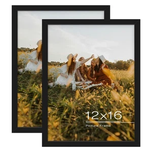 12x16 Picture Frame Solid Wood Black Molding Set of 2 Display 8x12 with Mat ... - Picture 1 of 9