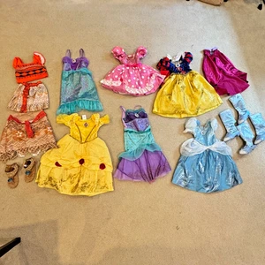 Disney Princess/Female Lead Dresses -- Lot of 8 + Footwear - Picture 1 of 14
