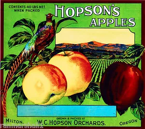 Milton Oregon Hopson's Apple Apples Obstkiste Etikett Vintage Kunstdruck - Bild 1 von 1
