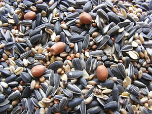Winter Streufutter 25 kg Premium Vogelfutter - Bild 1 von 1