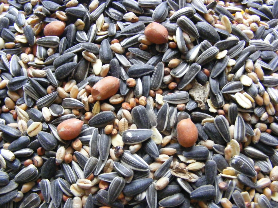 Winter Premium Streufutter 25 kg mit Sonnenblumenkerne Erdnüssen - Bild 1 von 1