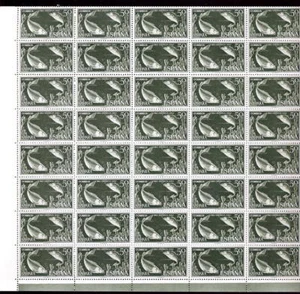 SPAIN COLONIES SAHARA 1962 FISH 50c...MINT FULL SHEET - Picture 1 of 1