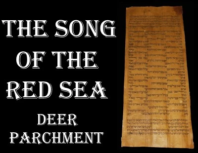 TORAH SCROLL BIBLE VELLUM MANUSCRIPT LEAF 300 YRS OLD MOROCCO "Song of the Sea" - Image 1 of 4