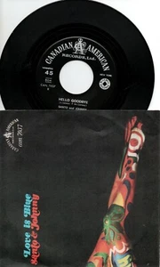 dt 26 SANTO and JOHNNY - Love is blue - Hello goodbye - Canadian American 7037 - Foto 1 di 2