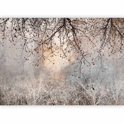 Vlies Fototapete Foto Tapete Schlafzimmer Wohnzimmer Moderne Bildtapete NATUR - Bild 1 von 4