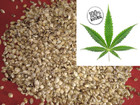 10oz Organically grown RAW Hemp seeds Vegan food protein natural Eco product